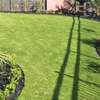 BEST Weed Control Services/Garden Design/Gardening Services thumb 8