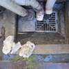 General plumbing/ Pipe Repair/ Drain Sewer Clearance Nairobi thumb 11