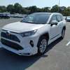 Toyota RAV4 2019 thumb 0
