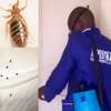 Bed Bug Specialist Pipeline,Utawala,Githunguri ,Ruiru,Runda thumb 3