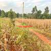 0.05 ha Residential Land in Kamangu thumb 23