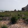 7.9 Acres Beachfront Land For Sale In Watamu thumb 4