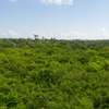 0.25 ac Residential Land at Diani Beach Road thumb 24