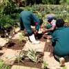 Bestcare Landscaping & gardening services Nairobi,Mombasa thumb 1