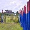 50by100 plot at Joska Malaa thumb 3