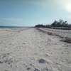 50-Acre Beach Plot For Sale in Bofa/Kilifi thumb 0
