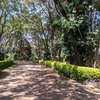 Residential Land at Peponi Rd thumb 19