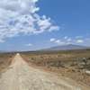 0.5 Acre land For Sale in Naivasha,Kedong ranch thumb 3
