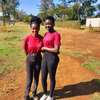 Tea girls services in Kenya thumb 2