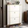 Office Cabinet : Modern Home Shoe Cabinet Storage thumb 6