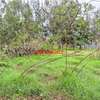 0.05 ha Commercial Land in Kikuyu Town thumb 2