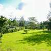 Prime Residential plot for sale in Ngong, Tulivu Estate thumb 7