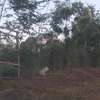 1 ac Land at Ruiru Githunguri Road thumb 16
