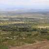 1/4 Acre Land For sale in Nakuru, Miti Mingi thumb 1