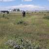 Land for sale in syokimau thumb 5
