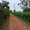 40*110 ft plots for sale at Kenol along Kagia road thumb 4