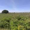 78,800 acres Land for sale thumb 2