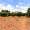 Land in Malindi thumb 19