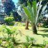 5 Bed House with Garden in Kitisuru thumb 0