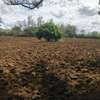 Mt view phase 2 garden kilimambogo thumb 2