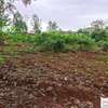 0.5 ac Residential Land at Muthaiga North thumb 6