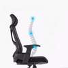 Office Chair: Swivel Orthopedic Mesh High Back Chair thumb 1
