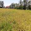 50*100ft plots for sale at Kenol Katipanga in Muranga county thumb 2