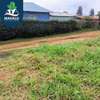 0.125 ac Commercial Land at Muchatha thumb 2