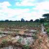 95 acres along Athi-River in Kibwezi Makueni County thumb 9