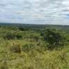 Land in Narok thumb 25