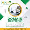 Domain registration and web hosting thumb 0