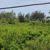 residential land for sale in Diani thumb 18