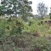 1618 m² land for sale in Kilimani thumb 8