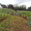 0.113 ac residential land for sale in Ngong thumb 6