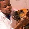 Dog Grooming Services Kilimani,Kileleshwa,Hurlingham,Runda thumb 7