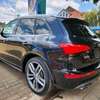 2015 Audi SQ5 panoramic sunroof thumb 23