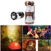Solar-Electric Night Light Lamp Rechargeable Indoor/Outdoor LED Lantern thumb 5