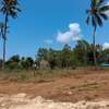 Prime Tropical Land Plot Cleared for Building thumb 0
