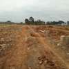 1/4-Acre Serviced Plots For Sale in Juja thumb 0