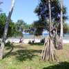 12 Acres of Front Row Beach Plot in Kwale Is For Sale thumb 1