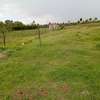 50×100 Plot In Ngarariga Gakawa, Near Nanyuki Airstrip thumb 4