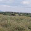 AFFORDABLE 50 BY 100 LAND ON SALE IN KITENGELA thumb 2