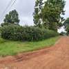 Residential Land at Kinanda Road thumb 8