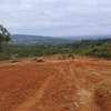 8 acres in Murang'a Kiharu ideal for farming/commercial thumb 2
