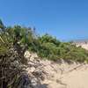 Malindi beachside plots — 50×100 ft. From KES 2M per plot thumb 1