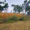 0.173 ac Residential Land at Ngong thumb 3