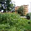 1/4-Acre Plot For Sale in Wangige thumb 2