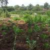 1 ac Land in Karen thumb 5