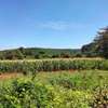 20 Acres or More Is For Sale In Masinga Dam and Thika River thumb 0