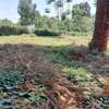0.5 ac residential land for sale in Runda thumb 0